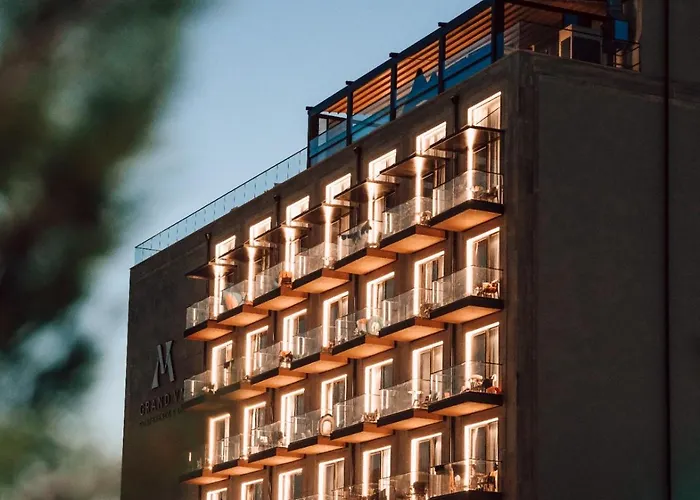 リゾート Grand Vm Conference & *